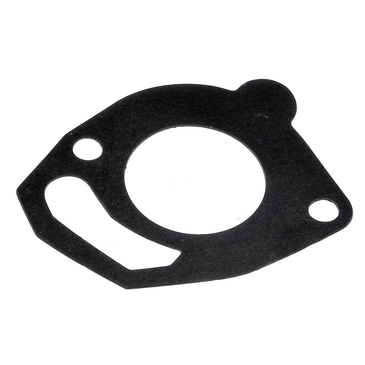 IVECO MASSIF Thermostat Gasket
